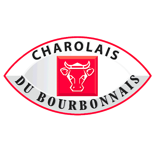 CDM-PorcCharolais_du_bourbonnais